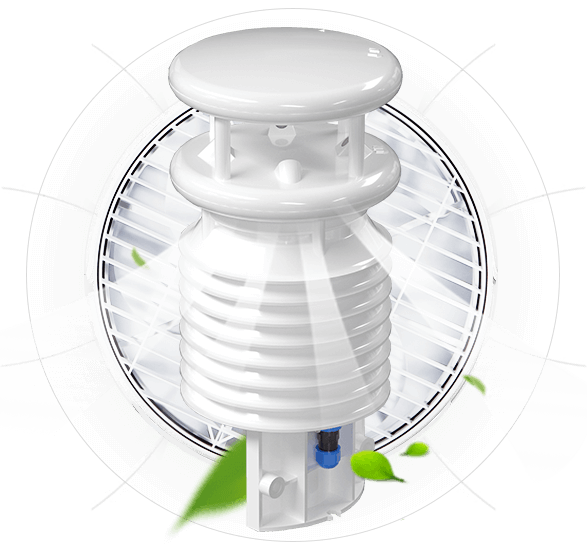 自动香蕉网站在线观看优势